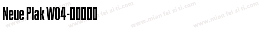 Neue Plak W04字体转换